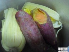 玉米和红薯的引进为何没拯救大明王朝