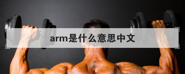 arm是什么意思中文