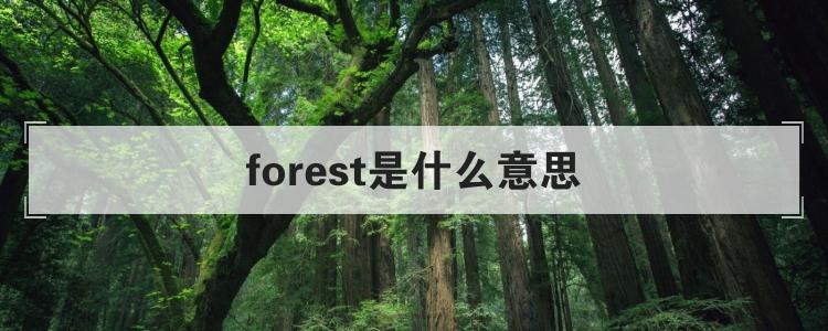 forest是什么意思