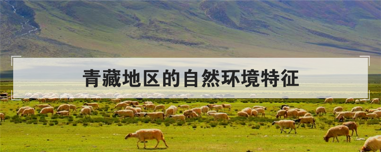 青藏地区的自然环境特征