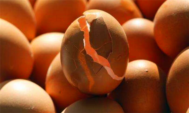鸡蛋壳的成分有哪些